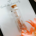 Wish bottle love card rosequartz, foto 2